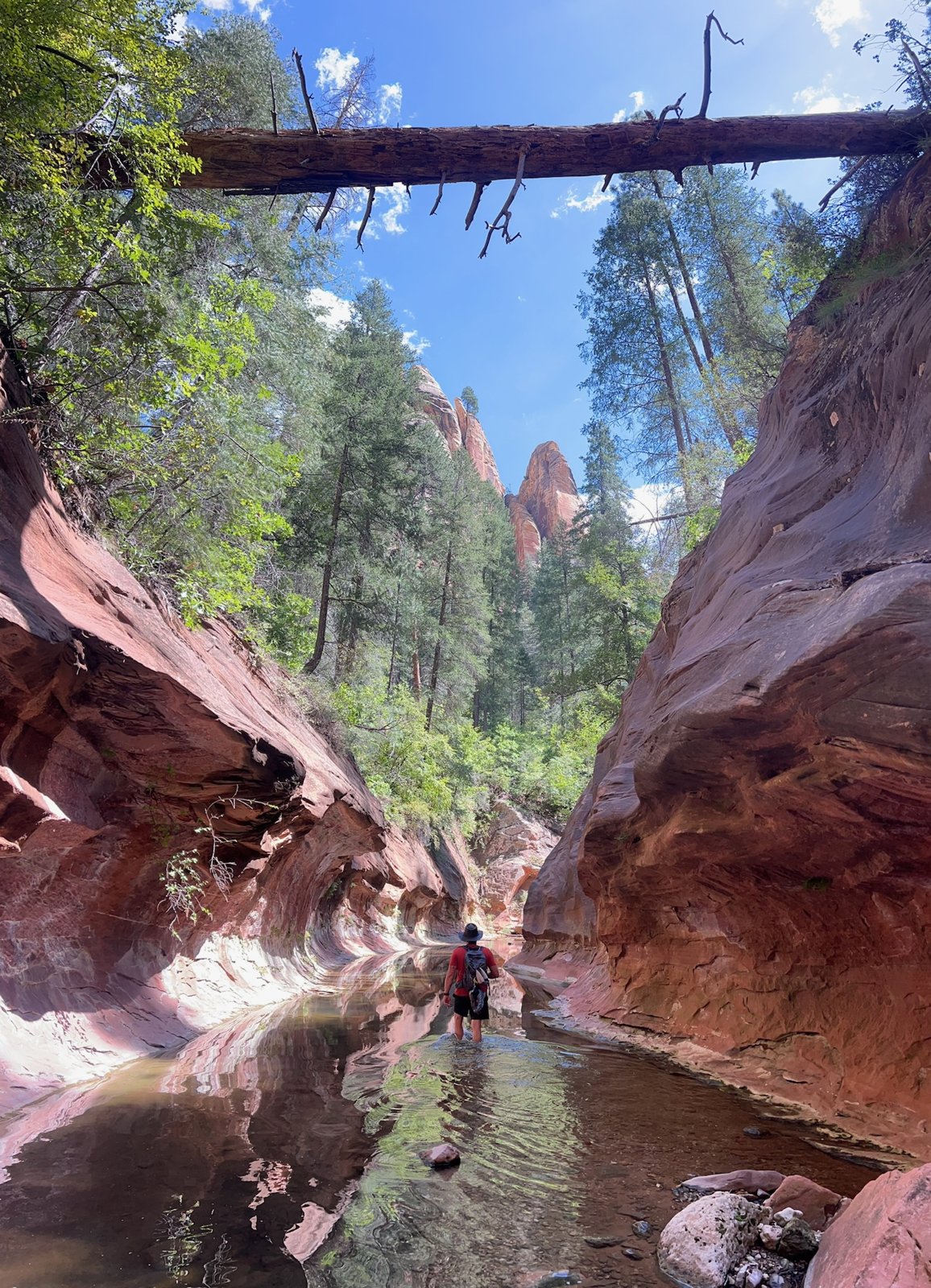 Sedona 2024