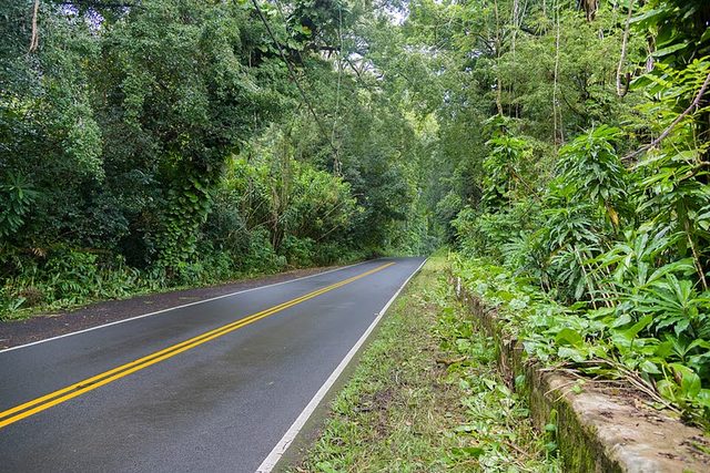 The Road to Hāna winding through green rain forest