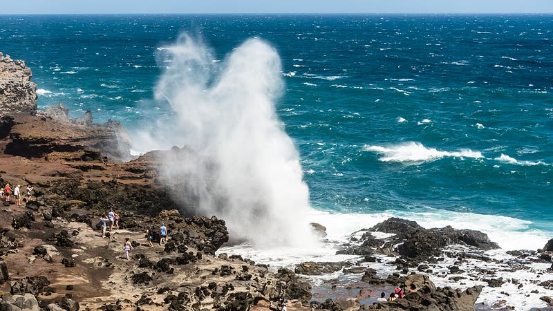 Ocean spray bursts skyward from the Nakalele Blowhole on Maui's rugged northern lava coast.