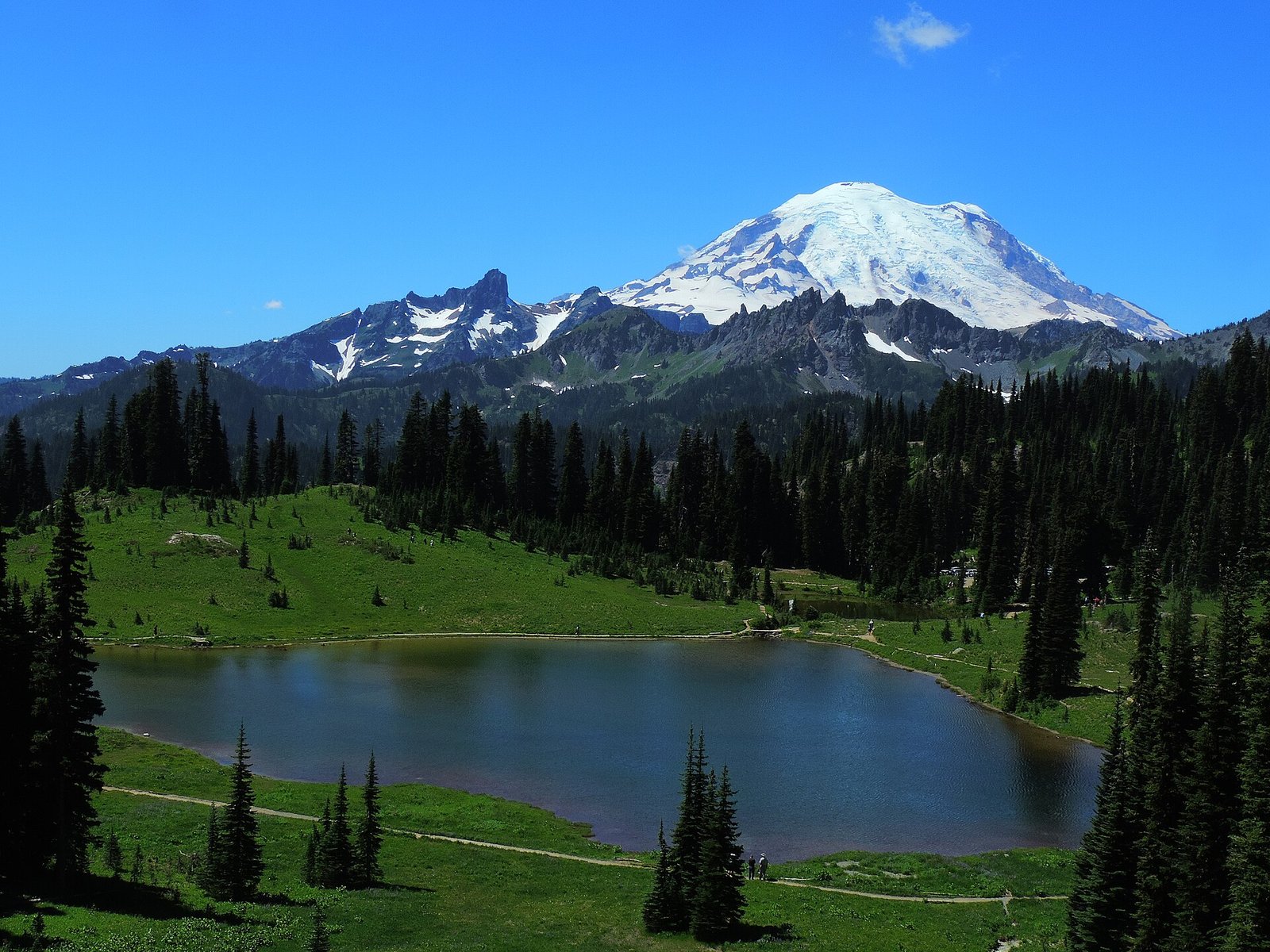 Mount Rainier towering over Tipsoo Lake and green subalpine meadows