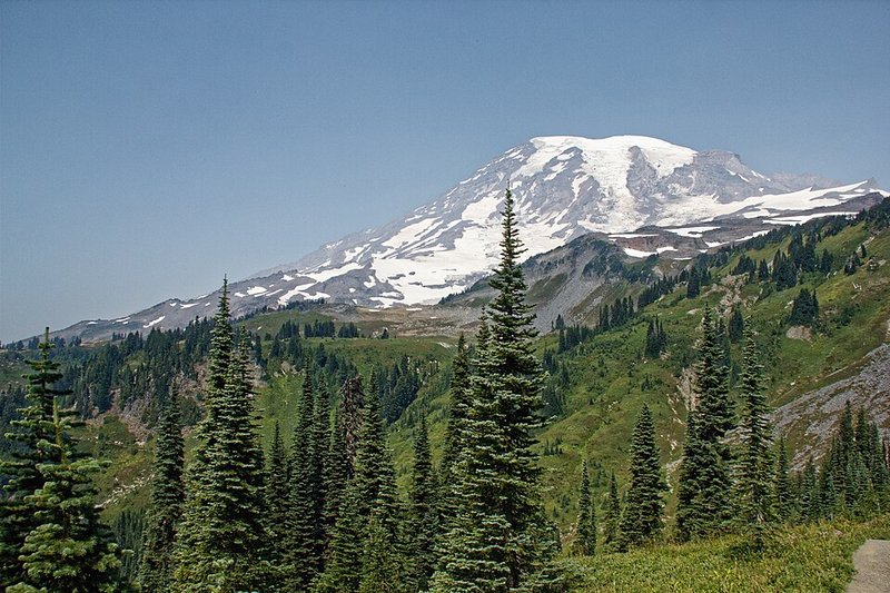 Snowcapped Mount Rainier above evergreen trees and green meadows along the Skyline Trail